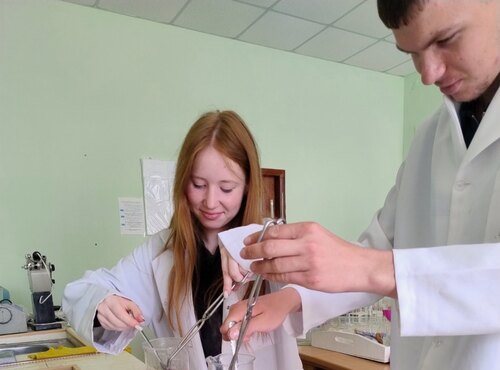 ЛАБОРАТОРНЕ ЗАНЯТТЯ ІЗ ВИЗНАЧЕННЯ ЖЕЛЮЮЧОЇ ЗДАТНОСТІ ЯГІД