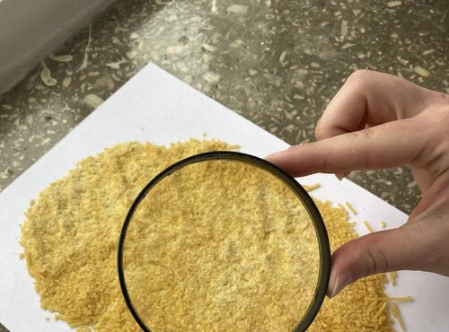 ДОСЛІДЖЕННЯ ФІЗИКО-ХІМІЧНИХ ПОКАЗНИКІВ ЯКОСТІ МАКАРОННИХ ВИРОБІВ: ПРАКТИЧНИЙ ДОСВІД СТУДЕНТІВ