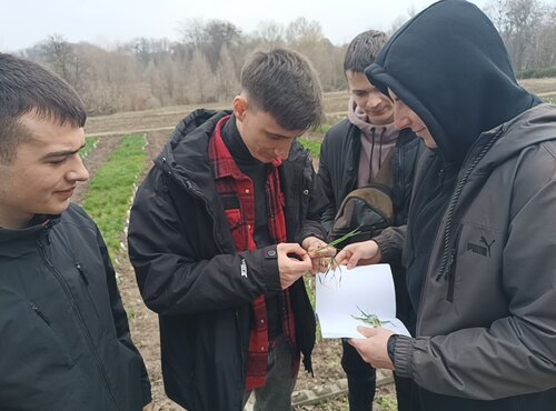 ЛАБОРАТОРНІ ЗАНЯТТЯ НА КАФЕДРІ ГЕНЕТИКИ, СЕЛЕКЦІЇ РОСЛИН ТА БІОТЕХНОЛОГІЇ.