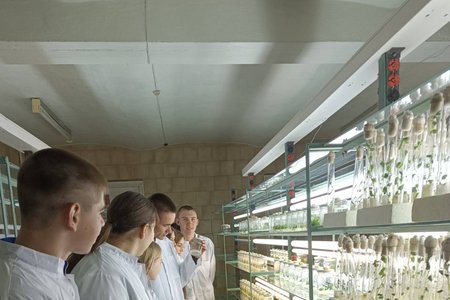 Лабораторне заняття з дисципліни Основи біотехнології рослин