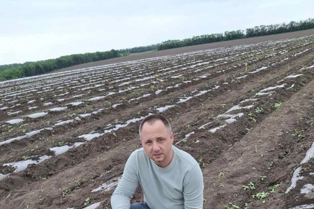 Наукова робота аспіранта кафедри овочівництва