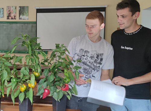 Засідання гуртка кафедри овочівництва "Сорти перцю солодкого"