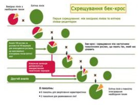 Перспективи і основні напрями розвитку селекції