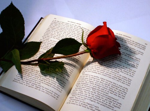 23 квітня – Всесвітній день книги та авторського права