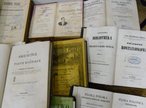 Візит німецького журналіста