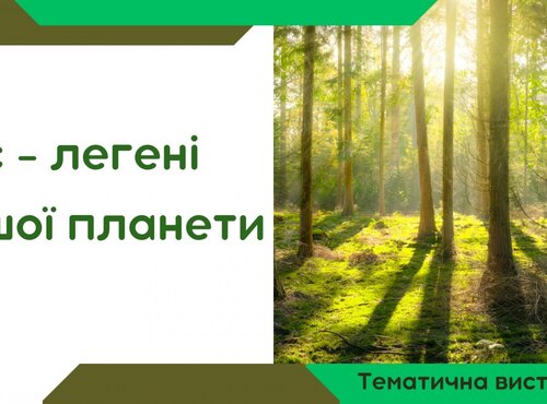Ліс – легені нашої планети: нова книжкова виставка в бібліотеці