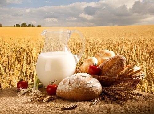 Вклоняюсь низько праці хлібороба…