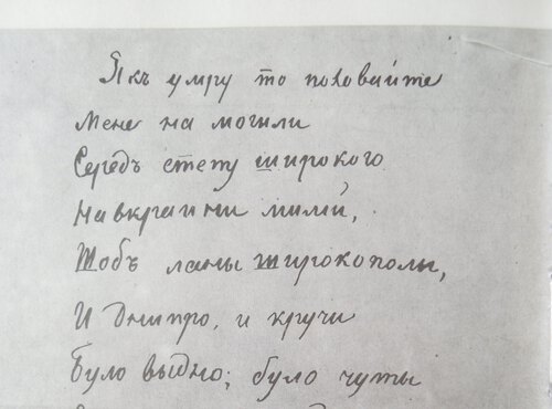 «…серед степу широкого на Вкраїні милій»:  книжкова подорож у минуле