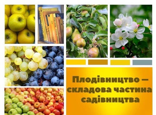 Віртуальна виставка «Плодівництво – складова частина садівництва»