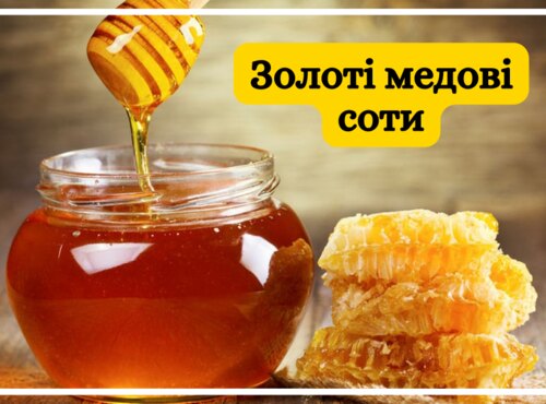 Книжкова виставка в бібліотеці з нагоди Дня пасічника