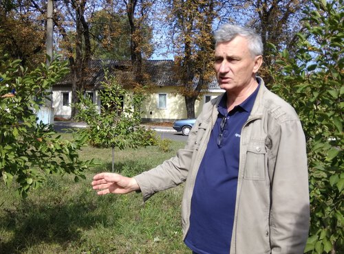 Практичне заняття з інтенсивних технологій садівництва і виноградарства