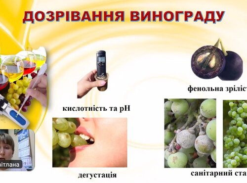 Сучасні методи досліджень у виноградарстві: нові знання для науково-педагогічної діяльності