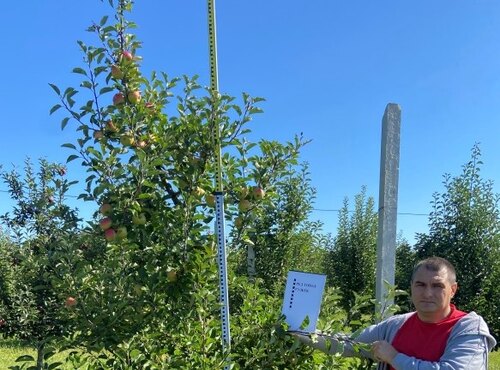 Аспірантські дослідження з плодівництва: моніторинг вегетації