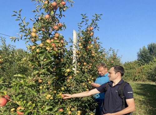 Важливий етап наукових досліджень аспірантів кафедри плодівництва і виноградарства