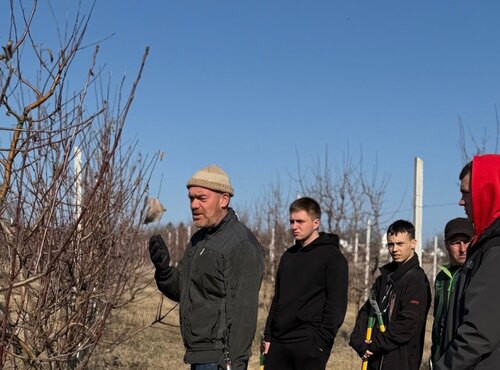 НАВЧАЛЬНА ПРАКТИКА СТУДЕНТІВ