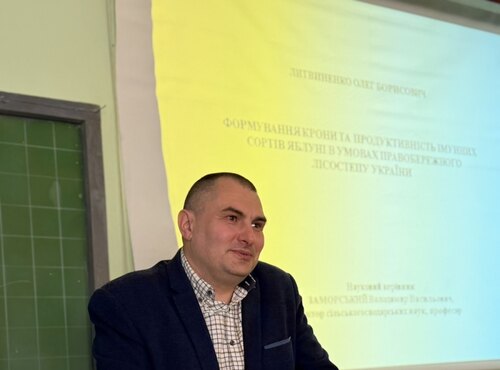 Публічна презентація дисертації