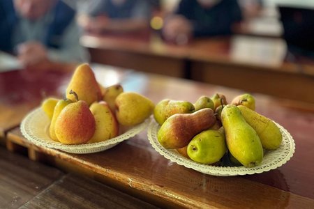 Студентський науковий гурток кафедри плодівництва і виноградарства