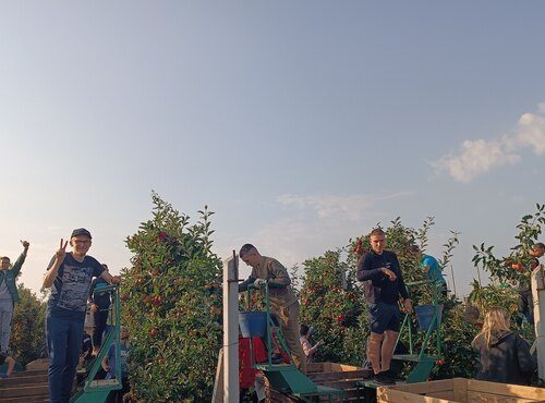 Виробнича практика студентів факультету агрономії у фермерському господарстві "Гадз"