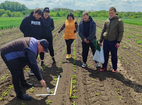 Викладачі кафедри агрохімії і ґрунтознавства провели практичні заняття в умовах виробництва