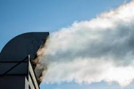 ЯК ЗАРОБИТИ ДО 500 ДОЛАРІВ З ГЕКТАРА НА ВУГЛЕЦЕВИХ КРЕДИТАХ