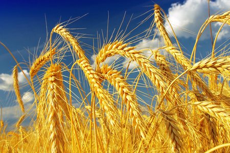 Наука без кордонів: партнерство між Україною та ЄС