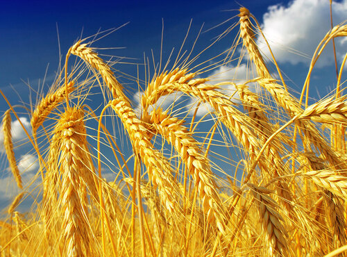 Наука без кордонів: партнерство між Україною та ЄС