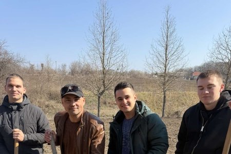 Вплив сортового складу та строків садіння на продуктивність картоплі: результати закладання досліду