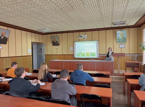 Соняшник – цінна культура для аграрного сектору України