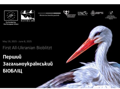 Перший загальноукраїнський біобліц в межах ініціативи  «Збереження природної спадщини для LIFE в Україні»
