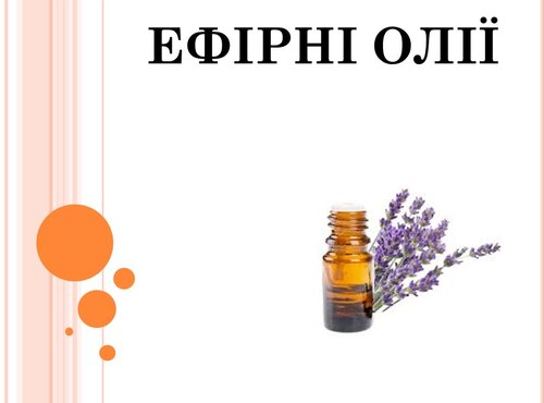 МАГІЯ ЗАПАХІВ ЯК НАУКА: НА КАФЕДРІ БІОЛОГІЇ ВІДБУЛАСЯ ВІДКРИТА ЛЕКЦІЯ ІЗ ЗАПРОШЕНИМ ЛЕКТОРОМ