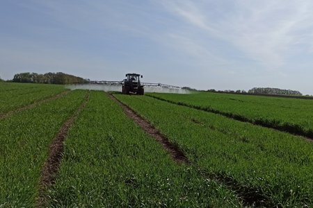 ЗАСТОСУВАННЯ СТРАХОВИХ ГЕРБІЦИДІВ ТА ФУНГІЦИДІВ НА ОЗИМИХ КУЛЬТУРАХ У РАМКАХ СПІВПРАЦІ З ТОВ «АГРО ЕКСПЕРТ ІНТЕРНЕШНЛ»