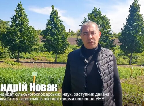 Науковці Уманського національного університету провели комплексний аналіз для прогнозування врожаю на 2025 рік