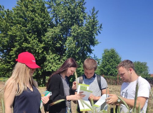 Практичне заняття з гербології: формування фахових компетентностей агрономів