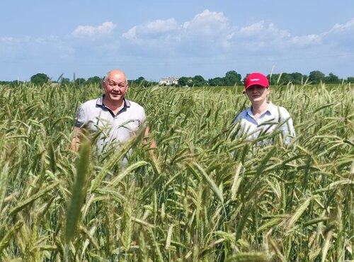 На дослідному полі кафедри тривають спостереження за вегетацією сільськогосподарських культур
