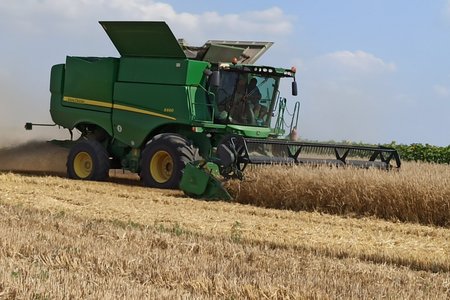 Збирання озимих культур на дослідному полі кафедри загального землеробства