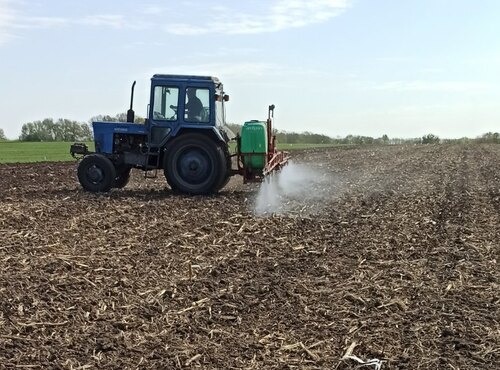 На дослідному полі кафедри загального землеробства продовжується виконання госпдоговірної тематики