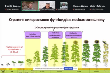 Адаптація технологій вирощування соняшнику в умовах змін клімату