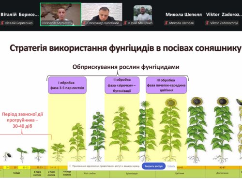 Адаптація технологій вирощування соняшнику в умовах змін клімату