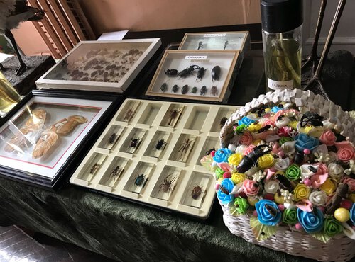 День відкритих дверей