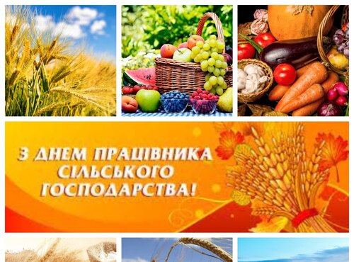 З Днем працівника сільського господарства!