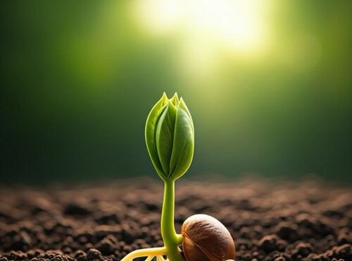 Вітаємо переможців І туру Всеукраїнського студентського творчого конкурсу «Збереження родючості ґрунтів»