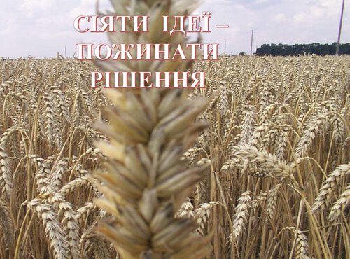 Сіяти ідеї – пожинати рішення