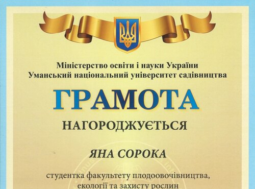 Результати конкурсу есе "Роздуми про академічну доброчесність"