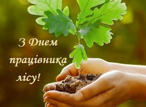 Уже традиційно, щиро та сердечно вітаємо з Днем працівника лісу!