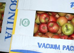 Солодкі яблука для воїнів АТО