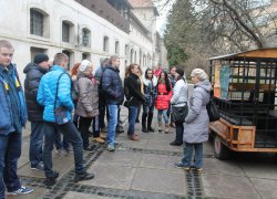 Студенти факультету економіки й підприємництва святкували День студента у Львові
