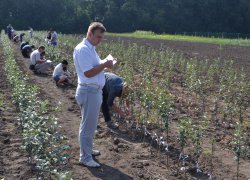 Оцінювання членами жюрі конкурсантів під час проведення окулірування