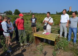 Ознайомлення з умовами конкурсу проводить ст. викладач кафедри плодівництва і виноградарства Буцик Р.М.