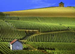 Horticulture and viticulture