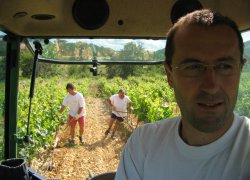 Horticulture and viticulture